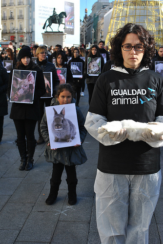 Igualdad Animal